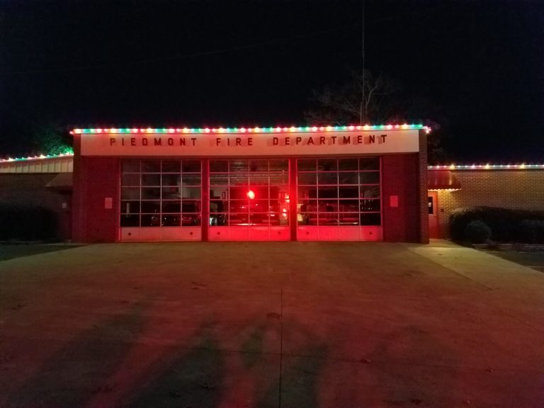 Christmas Lights Piedmont Pelzer Williamston Greenville Anderson Simpsonville Dalmatian Lawn